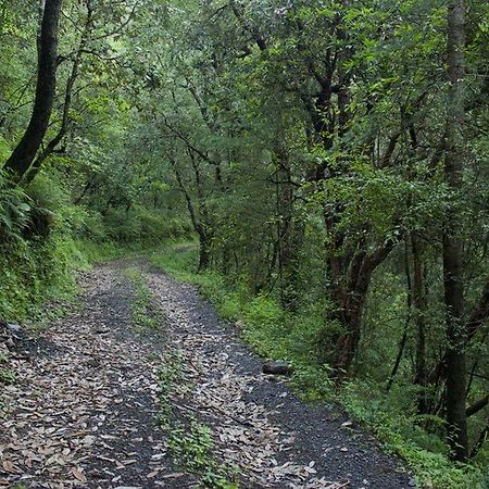 Aamod Resort Shimla Dış mekan fotoğraf