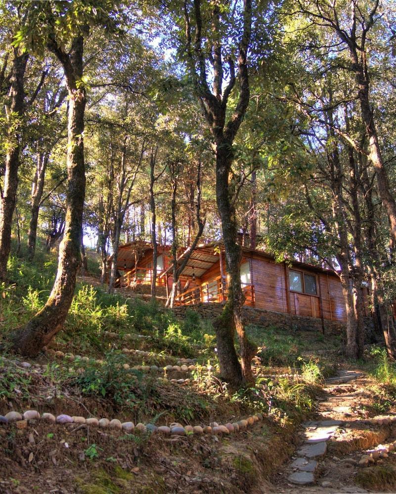 Aamod Resort Shimla Dış mekan fotoğraf