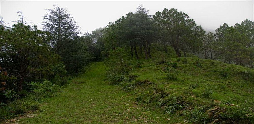 Aamod Resort Shimla Dış mekan fotoğraf