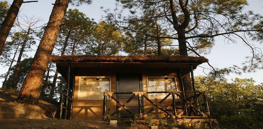 Aamod Resort Shimla Dış mekan fotoğraf