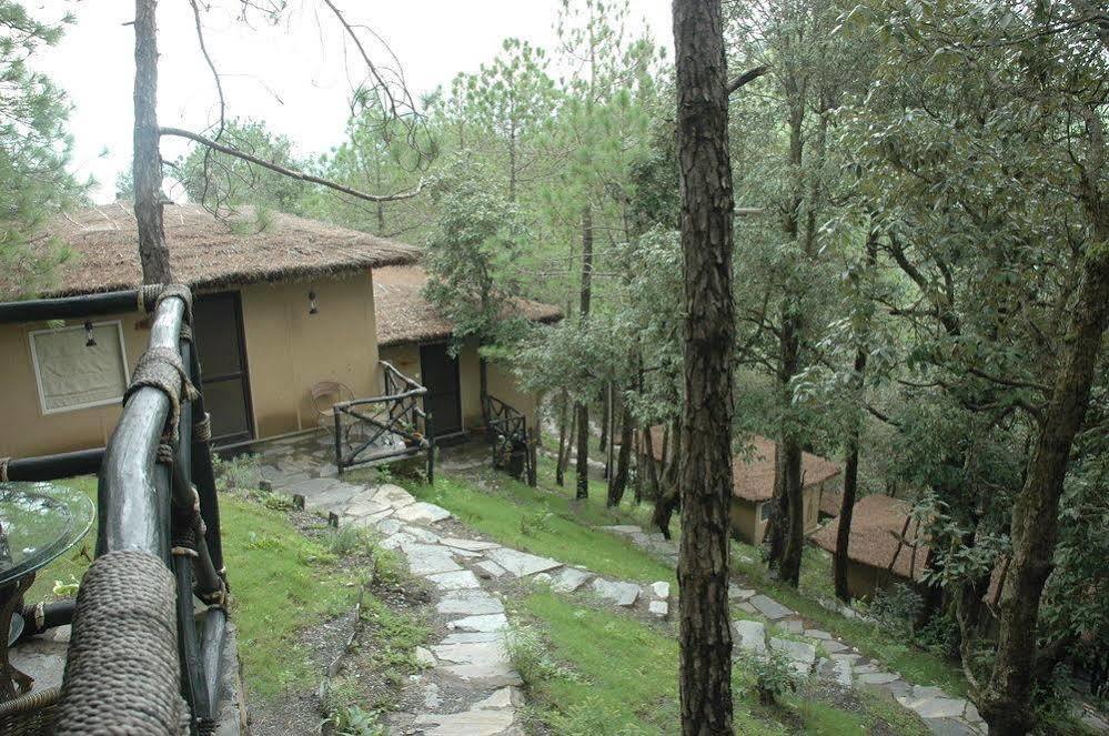 Aamod Resort Shimla Dış mekan fotoğraf