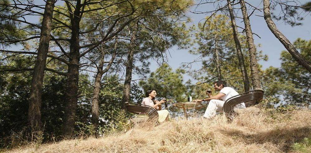 Aamod Resort Shimla Dış mekan fotoğraf
