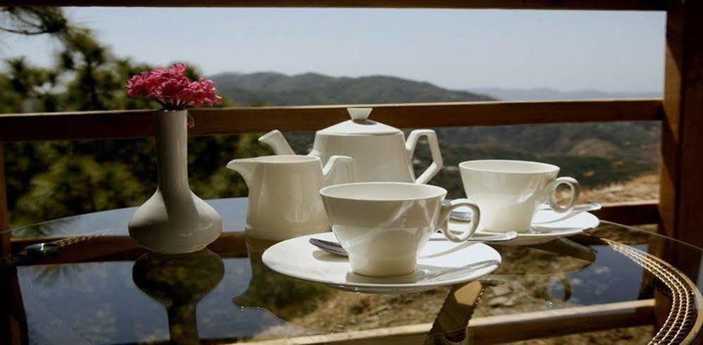 Aamod Resort Shimla Dış mekan fotoğraf