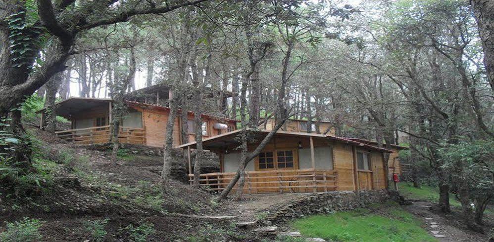 Aamod Resort Shimla Dış mekan fotoğraf